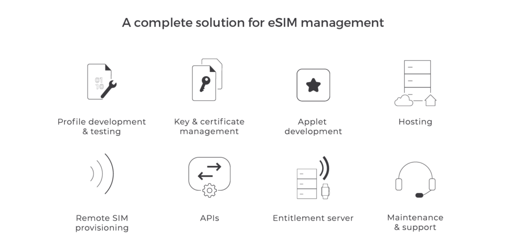 Hybrid eSIM management solutions | Workz Group