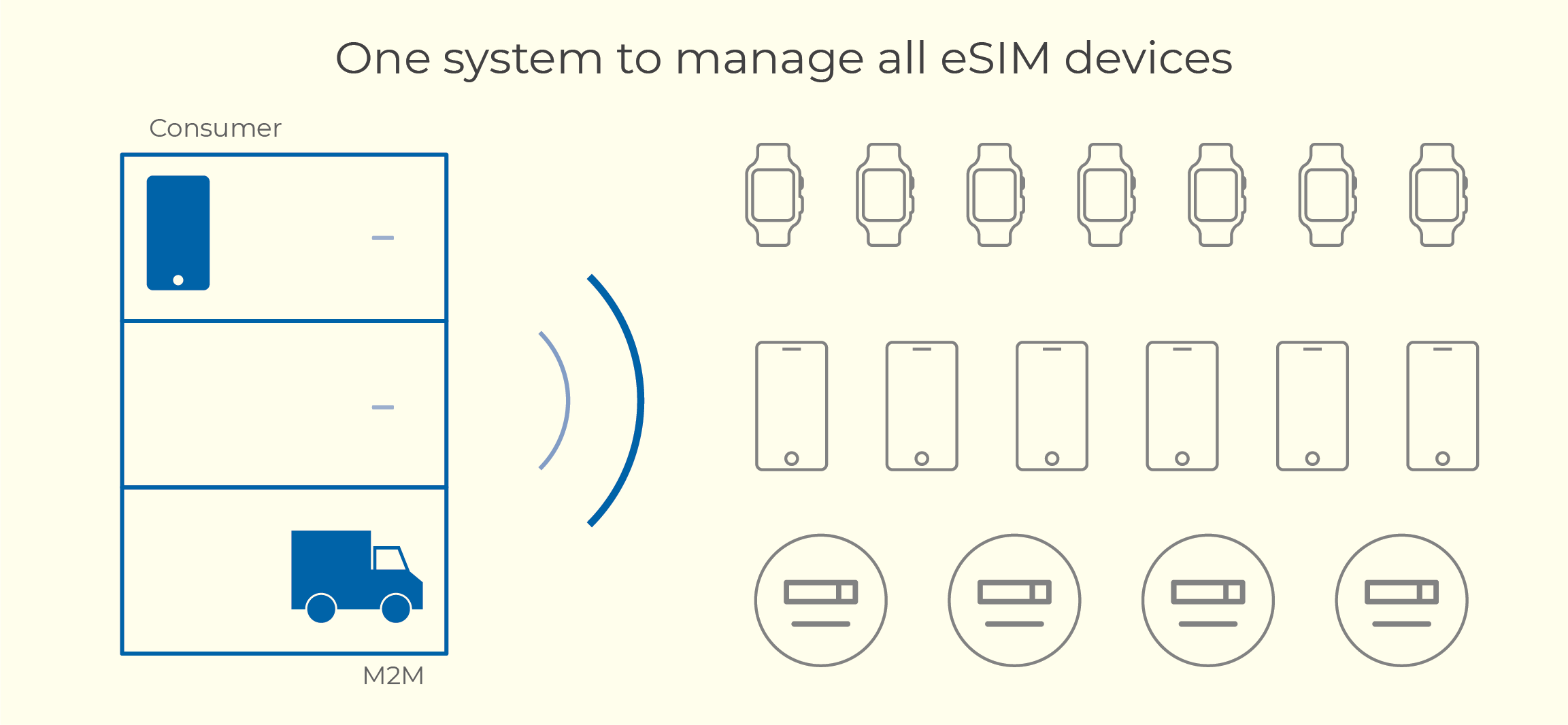 Manage consumer and M2M eSIM devices on one system | Workz Group 