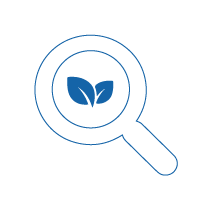 Blue icon of looking at leaves through magnifying glass | Workz Group