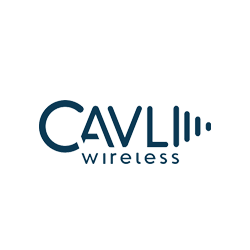 Cavli Wireless logo | Workz Group